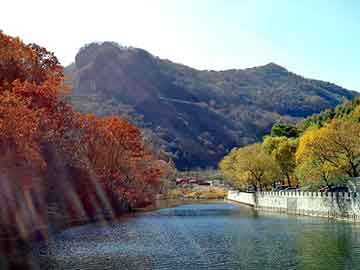 管家婆免费正版资起大全，王妃太狂野